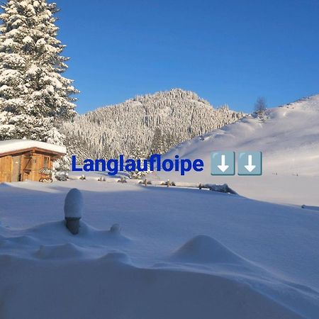 Haus Jessica Incl National Park Sommercard Mittersill Extérieur photo