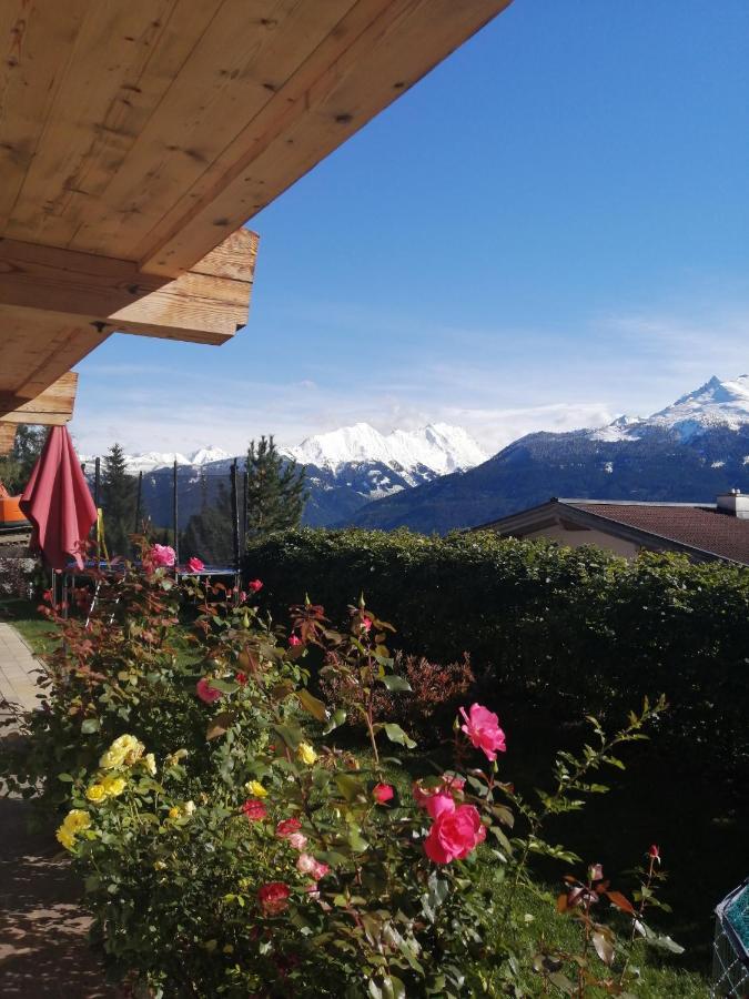Haus Jessica Incl National Park Sommercard Mittersill Extérieur photo
