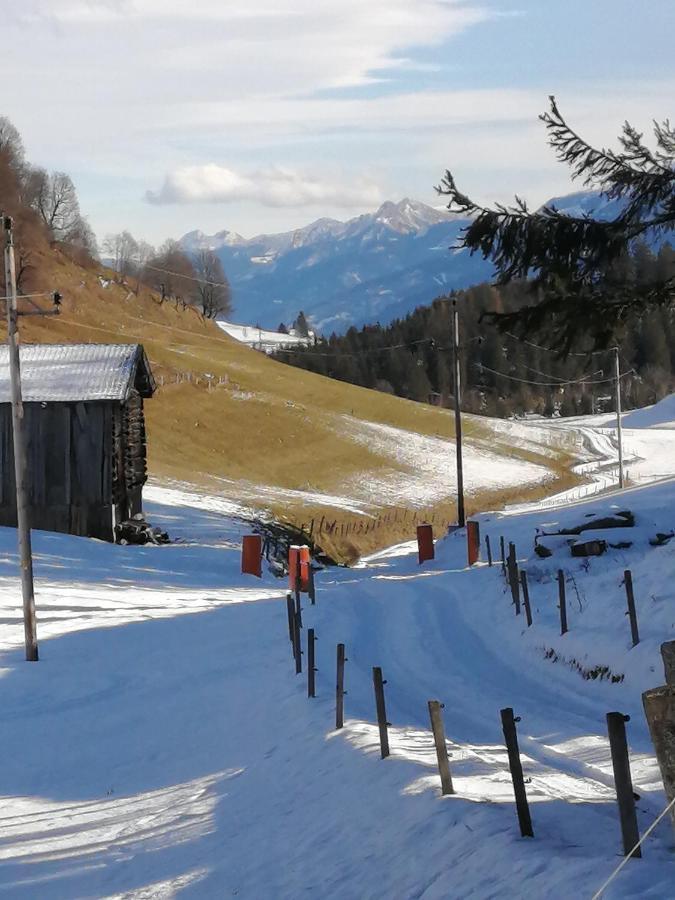 Haus Jessica Incl National Park Sommercard Mittersill Extérieur photo