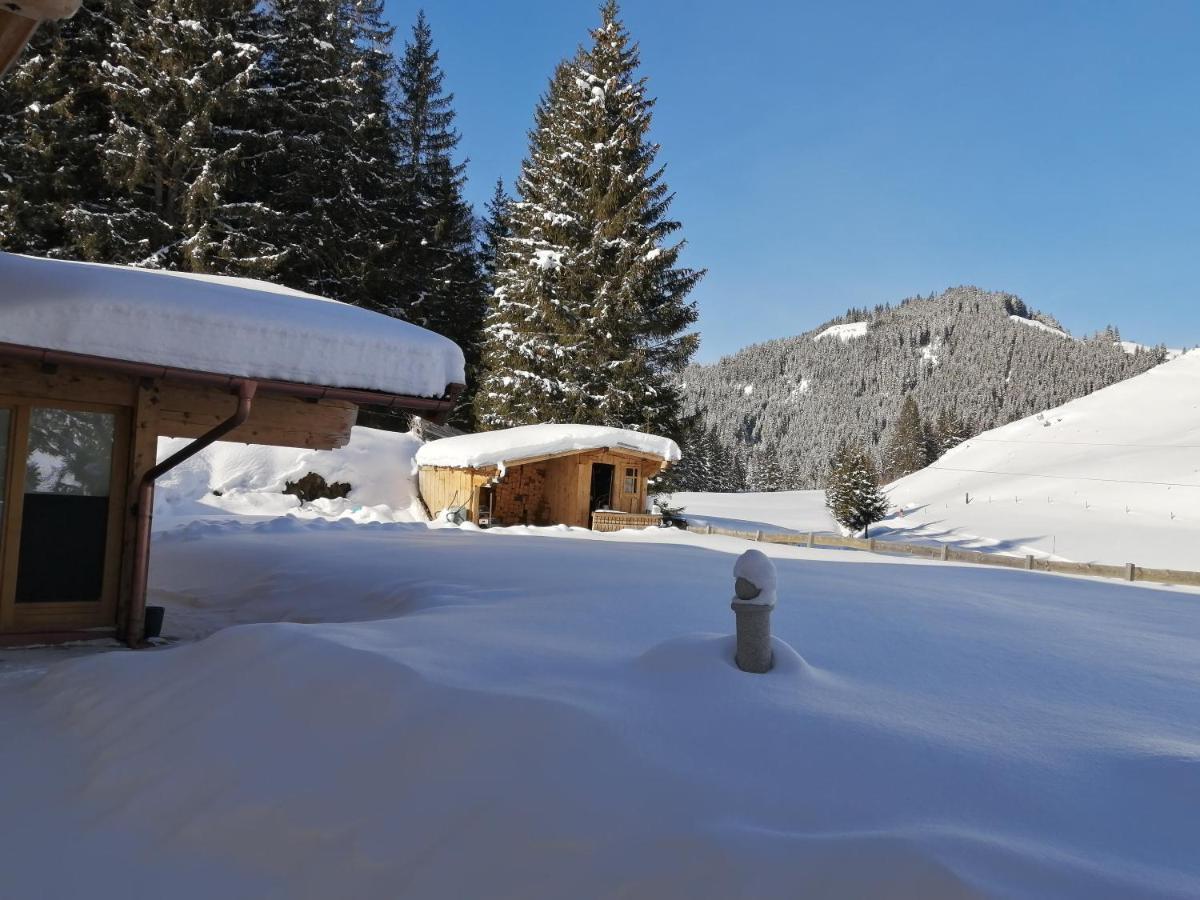 Haus Jessica Incl National Park Sommercard Mittersill Extérieur photo