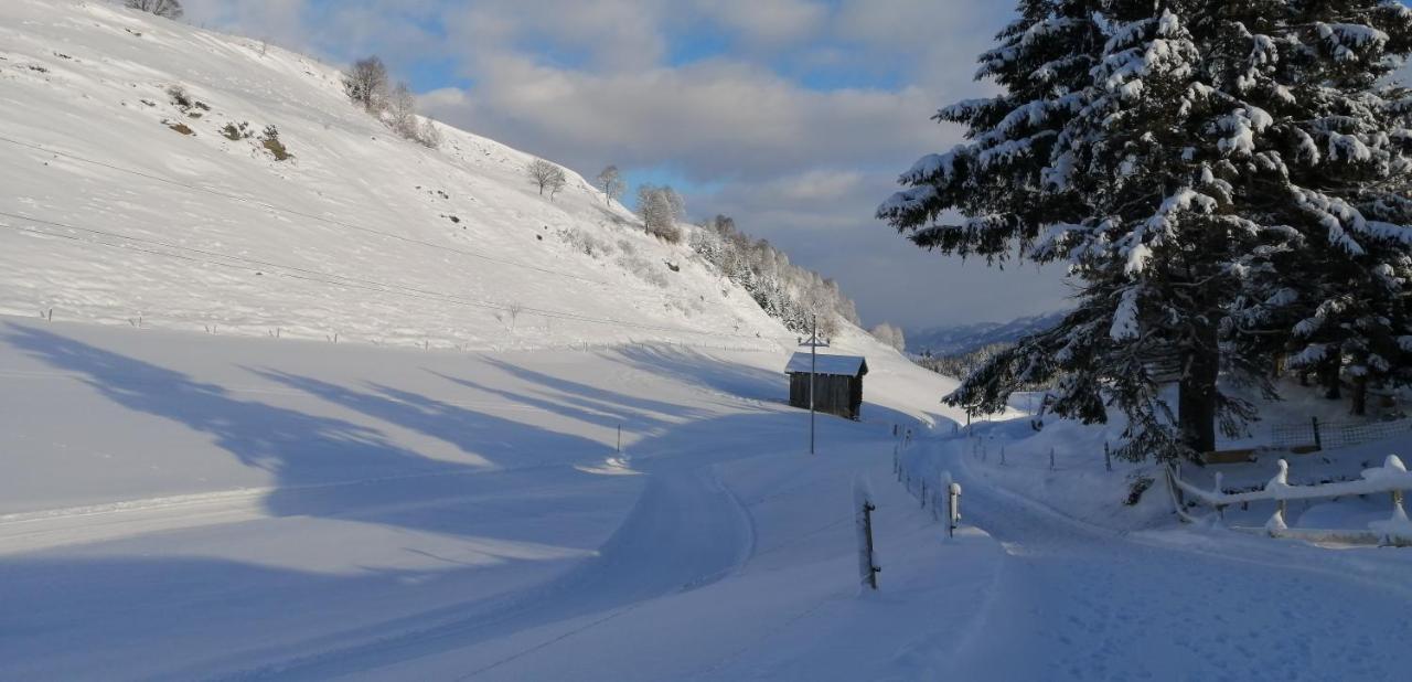 Haus Jessica Incl National Park Sommercard Mittersill Extérieur photo